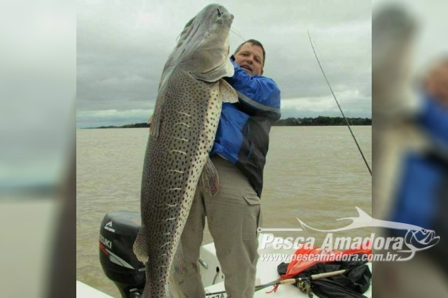 Pescador captura pintado de 80 kg no Rio Paraná em Paso de La Patria-AR