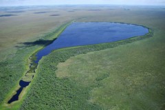 Parque Nacional de Ilha Grande - Bacia do Rio Parana