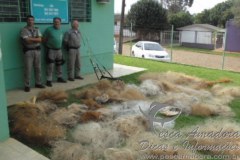 Patram apreende inumeras redes de pesca no Rio Grande do Sul