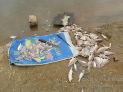 Patram encerra fiscalizazao no Rio Grande do Sul e apreende materiais ilegais de pesca 2