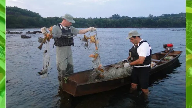 Patram flagra pesca ilegal com redes no Rio Uruguai em Iraí (RS)