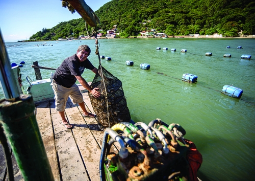 Maricultura catarinense entra no Plano Safra 2014