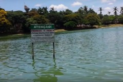 Peixes contaminados sao vendidos ilegalmente em Belo Horizonte 4