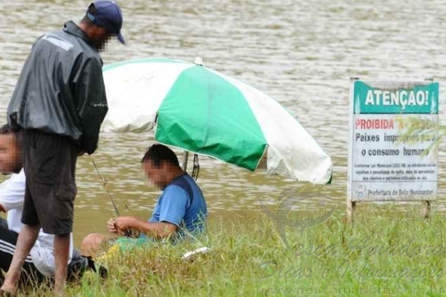 Peixes contaminados da Lagoa da Pampulha são vendidos ilegalmente em BH