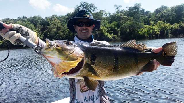 Pesca Esportiva é inserida na floresta estadual de Faro no estado do Pará