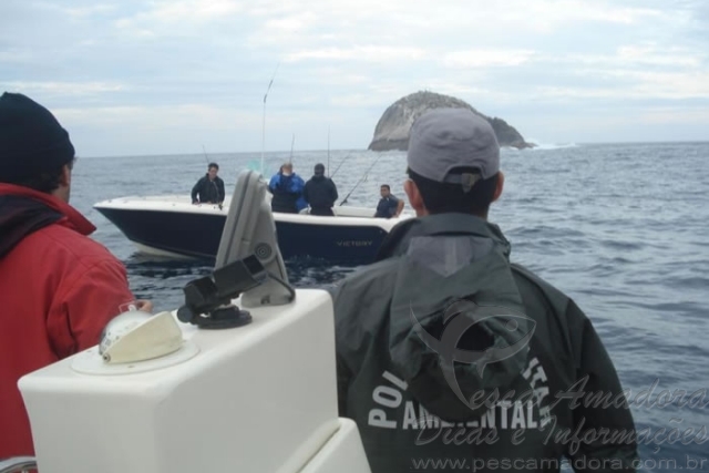 Pesca ilegal na “Laje de Santos” preocupa pesquisadores em SP