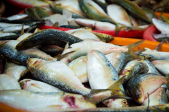 Pesca artesanal e industrial pode ter queda de US$ 10 Bilhoes por ano devido mudancas climaticas
