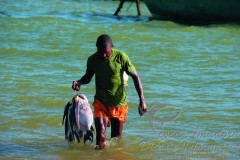 Pesca artesanal no litoral brasileiro