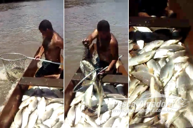 Pesca com “puça” durante desova da piracema no Rio Guaporé viraliza
