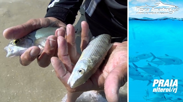 Pesca de Praia em Niteroi (RJ)