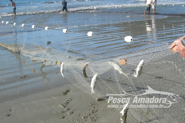 Projeto que proíbe a pesca com rede nas Baias do Espírito Santo é aprovado