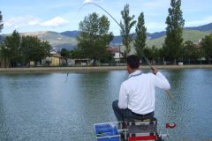 Pesca de tilapia em pesqueiro