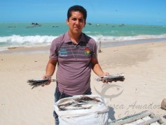 Pesca do peixe voador em Caicara-RN