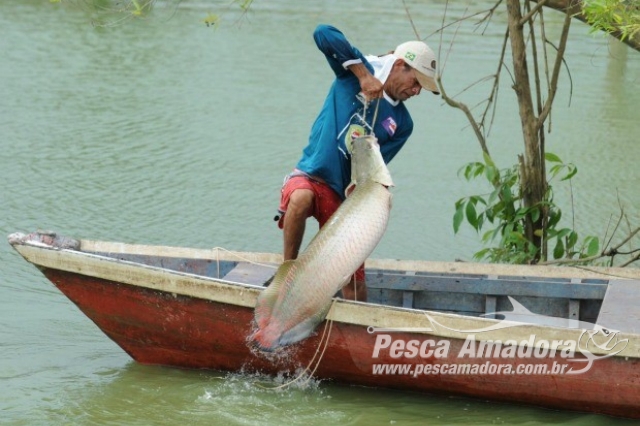 Pesca do pirarucu está proibida até março/2017 na bacia hidrográfica dos rios Araguaia-Tocantins