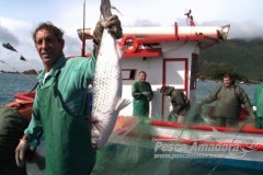 Pesca ilegal em 2015 motivou proibicao das licencas industriais em SC 2