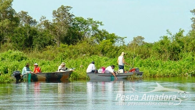 Cota zero para pesca amadora entrará em vigor apenas em 2020 no Mato Grosso do Sul
