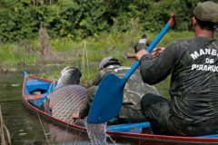 pesca-sustentavel-traz-beneficios-para-comunidades-pesqueiras-no-acre