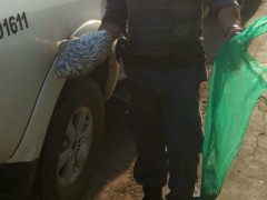 Pescado apreendido em Campina do Monte Alegre-SP