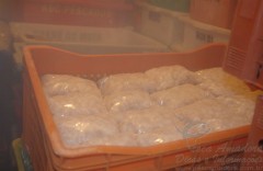 Pescado apreendido em Guarapari-ES