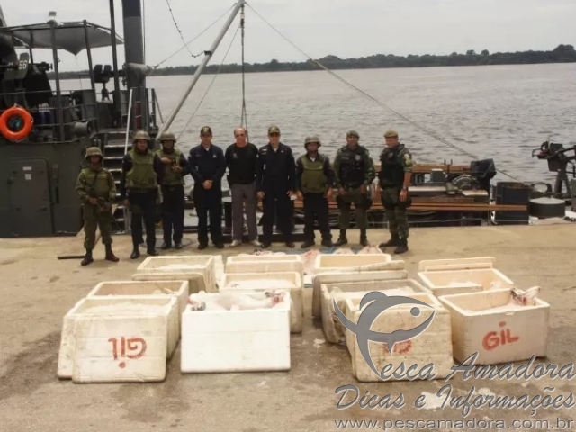 Embarcação com 1,5 tonelada de pescado irregular é apreendida no AM