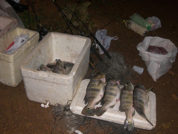43 kg de pescado são apreendidos durante blitz na TO-010