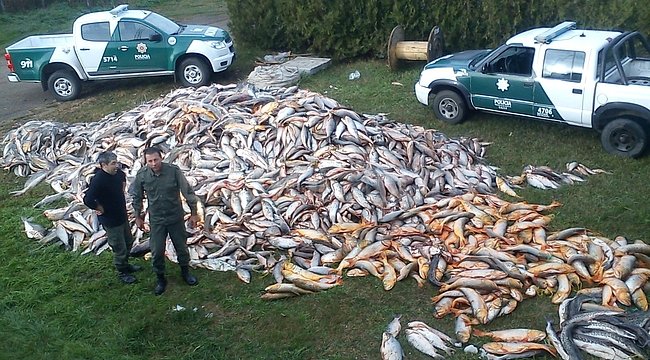 Cerca de 15 Toneladas de pescado foi apreendida na Argentina