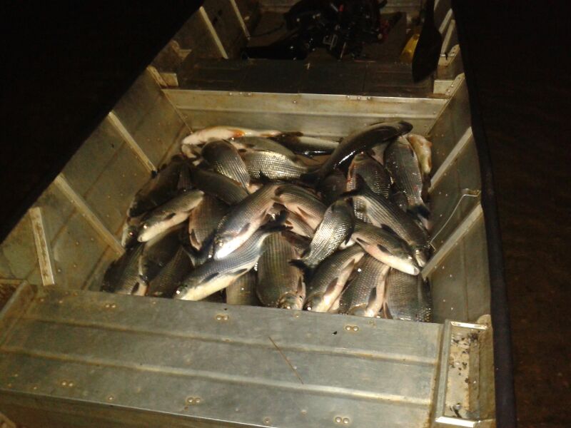 Operação prende quatro pessoas por pesca predatória no Paraná