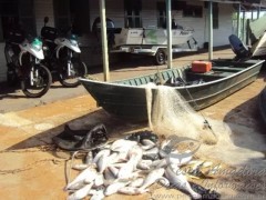 Pescado e material de pesca apreendidos em Castilho-SP