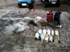 Pescado e outros materiais de pesca apreendidos no MS