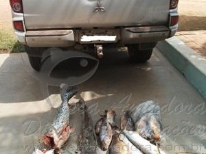 Homem é detido e multado em R$ 2.200 mil por pesca ilegal no MS