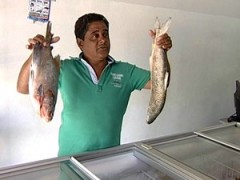 Pescado na hidreletrica de marimbondo