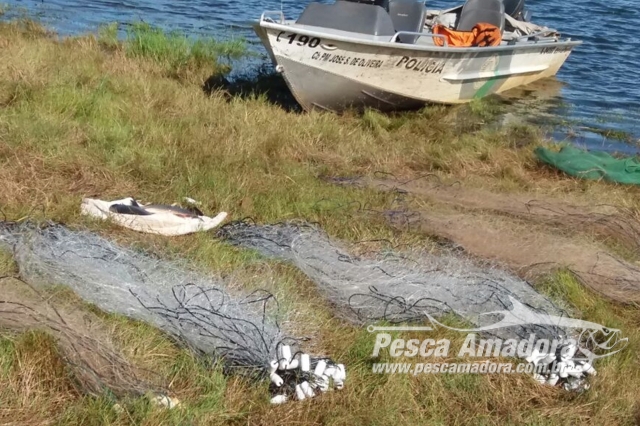 Pescador Amador é autuado por pesca ilegal no Rio Grande-SP