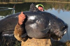 pescador-da-carolina-do-norte-captura-catfish-de-50-kg-e-quase-quebra-recorde-nos-eua-2
