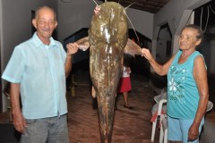 Pescador de 81 anos fisga Jau de 62 kg com uso de linhada no rio Taquari-MS