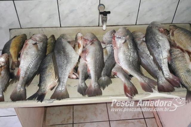 Pescador é multado em R$ 1,8 Mil por pescar acima da cota em MS