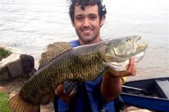 Pescador esportivo recebe certificado da IGFA ao fisgar traira de 4.250 kg e 63 cm no Parana 3