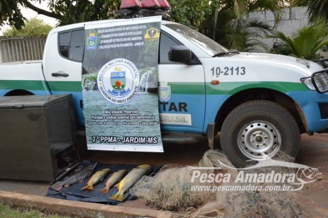 Pescador profissional é preso por pesca predatória durante a piracema em MS