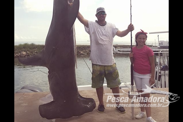 Pescador quebra recorde estadual ao fisgar tubarão-martelo de 485 kg no Texas