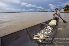Ribeirinho na Amazônia