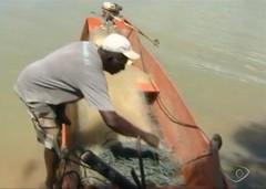 Pescador revisa rede cortada por piranhas no ES