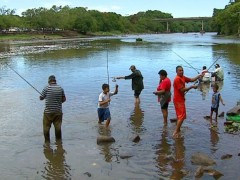 Pescadores disputam espaço à beira do Rio Mogi com o fim da piracema (Foto: Ely Venâncio/EPTV)