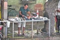Pescadores ignoram a piracema no Piaui