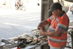 Pescadores ignoram a piracema no Piaui 3
