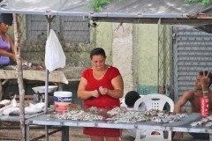 Pescadores ignoram a piracema no Piaui 4