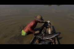 Pescadores manuseiam redes e zagaias entre os peixes mortos no AM 4