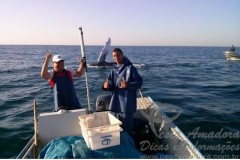 Pescadores retiram espinhel preso em Jubarte no litoral sul de SP