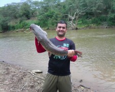 Tony Diego com um pintado em Pescaria no Rio Sao Francisco regiao de Piumhi-MG