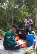 Pesquisa de biodiversidade de peixes na Amazonia 03