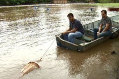 Pesquisadores monitoram reproducao de peixes no Rio Mogi-Guacu-SP