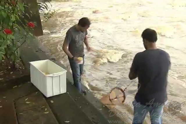Pesquisadores monitoram reprodução de peixes no Rio Mogi-Guaçu-SP